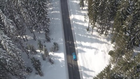 AERIAL: Flying above turquoise car driving along snowy road leading through dense evergreen mountain forest in winter. Road trip in picturesque pine tree woodland covered with fresh snow on sunny day