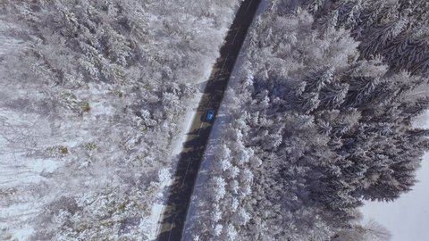 AERIAL: Flying above turquoise sport car driving on narrow highway through deep snowy woods on sunny winter day. Amazing road trip through picturesque nature in rural countryside in magical wintertime