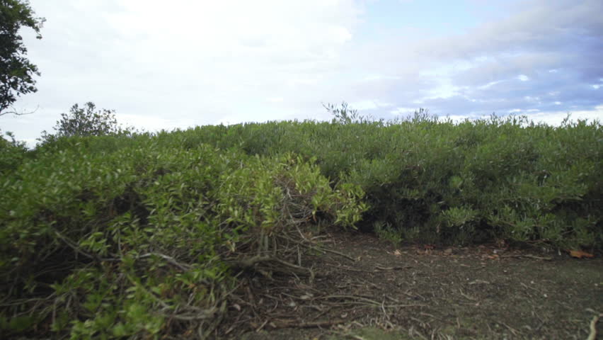 looking down the valley to the mountains in Southern California
