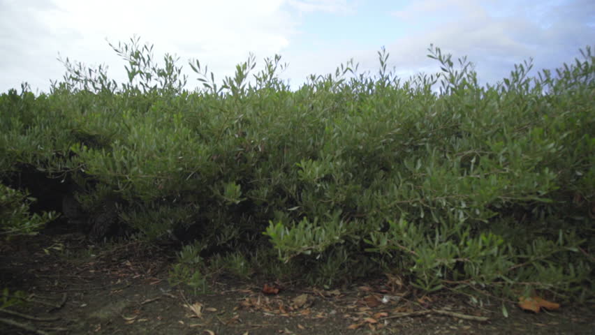 looking down the valley to the mountains in Southern California