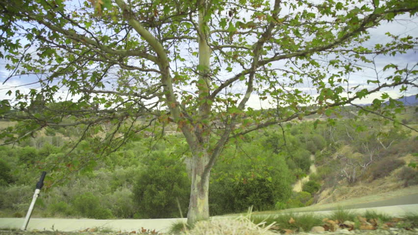 looking down the valley to the mountains in Southern California