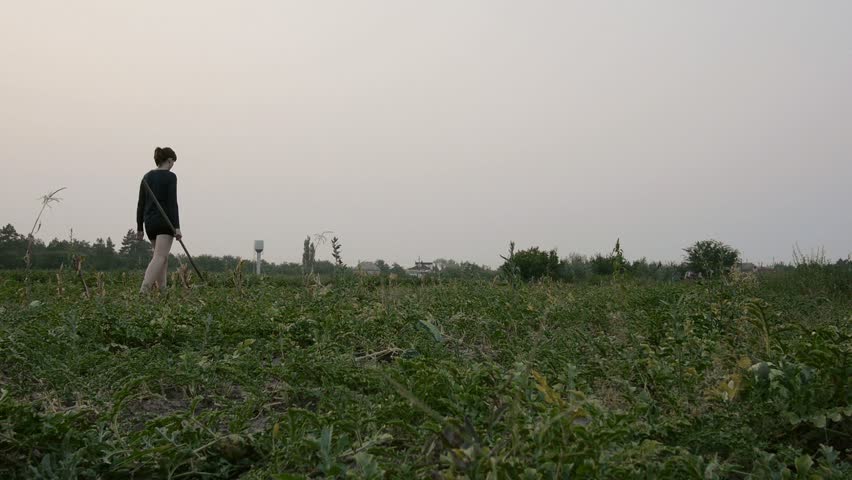 A young rural woman goes to the field early in the morning before sunrise. The hoe in her hand.