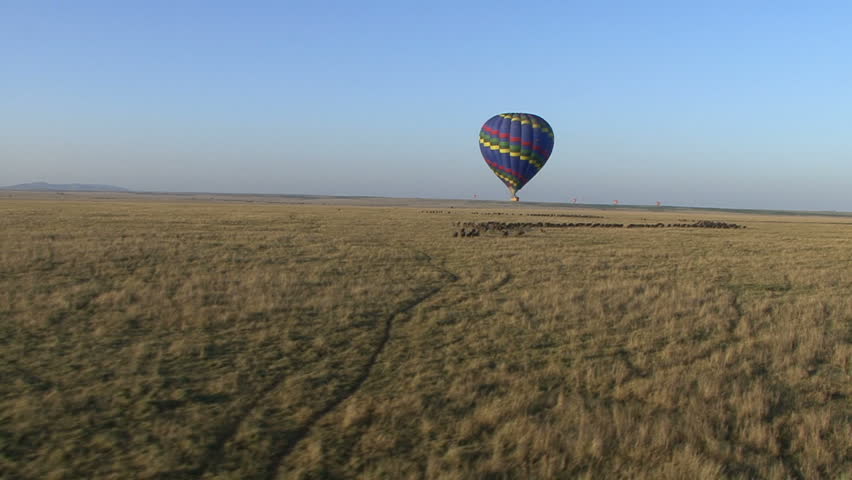 Hot Air Balloons look down on herd of Wildebeest in Kenya Africa.