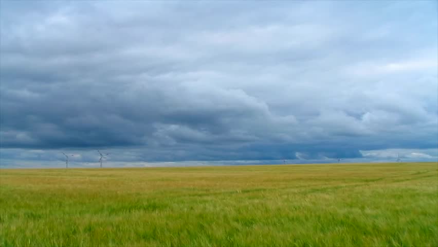 wheat field, timelapse