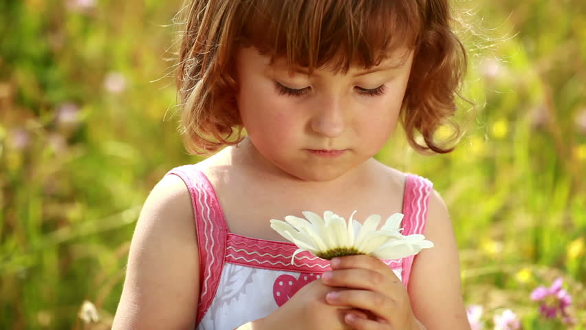 Little girl smelling a daisy flower in the garden
