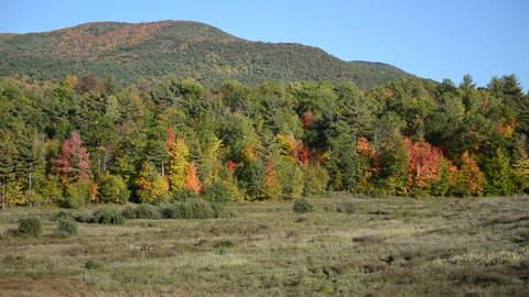 Rural wilderness scene in the Adirondacks with forest and Fall foliage 