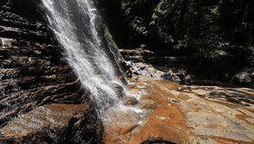 Waterfall in rainforest. River in Borneo jungle