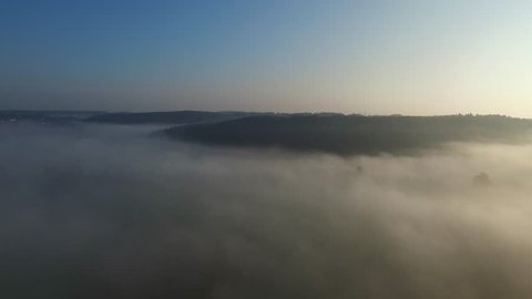 Low flight over the fog at the edge of the forest