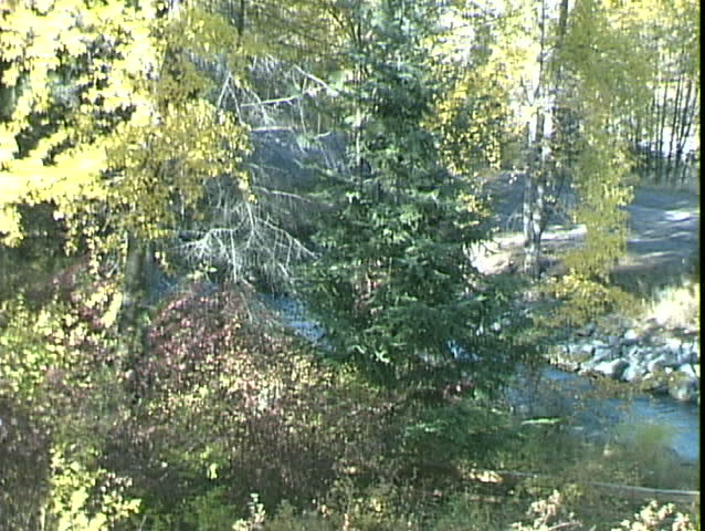 Kelowna Park Creek