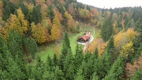 Aerial video of small hiking cottage in the middle of the vibrant autumn forest with clean environment, flying over spruce trees, decreasing shot