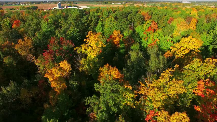 Amazingly beautiful autumn colors of Wisconsin, aerial flyover view.
