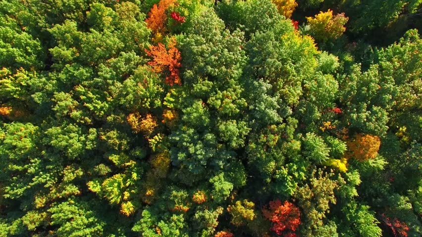 Amazingly beautiful autumn colors of Wisconsin, aerial flyover view.
