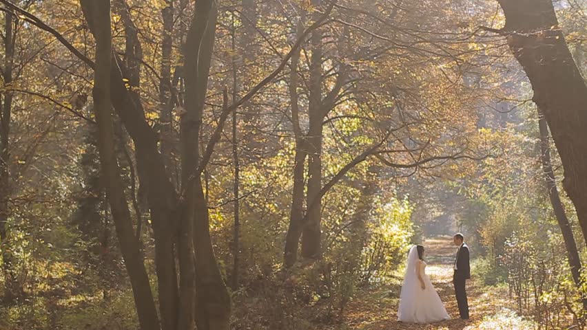 Autumn Forest Wedding Bride And Stock Footage Video 100 Royalty Free Shutterstock