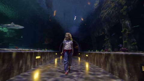Little Girl Walks Through Amazing Underwater Tunnel At An Aquarium, She Looks Around Mesmerized 