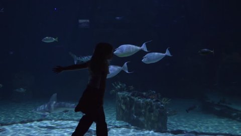Little Girl Walks Next To Aquarium Tank, She Grazes The Glass With Her Hand