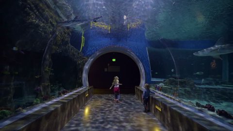Little Girl Spins In A Circle With Excitement, Her Brother Sits Nearby Observing Sharks And Fish In Underwater Aquarium Tunnel