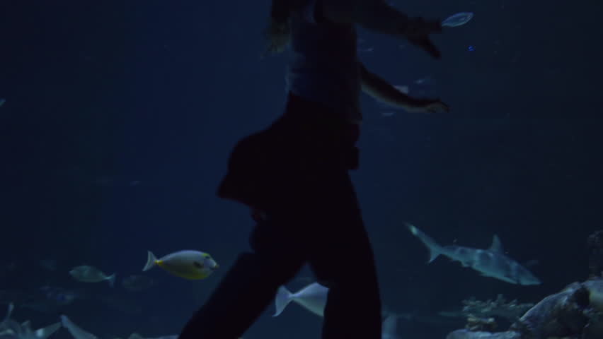 Little Girl Balances On Wall Next To Aquarium Tank, Fish And Sharks Swim Past Her | Shutterstock HD Video #20411569