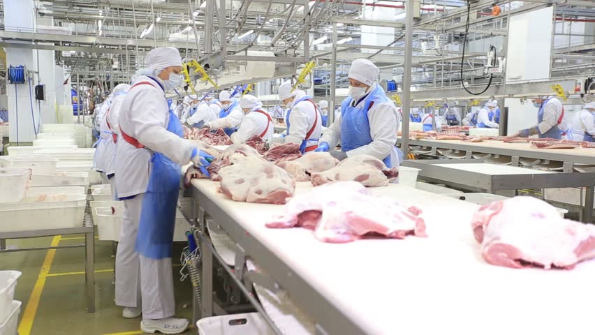 People Prepare Fresh Meat for 스톡 동영상 비디오(100% 로열티 프리) 20412634 | Shutterstock