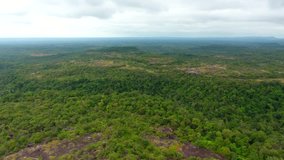 Aerial video above tropical forest in a sunny day