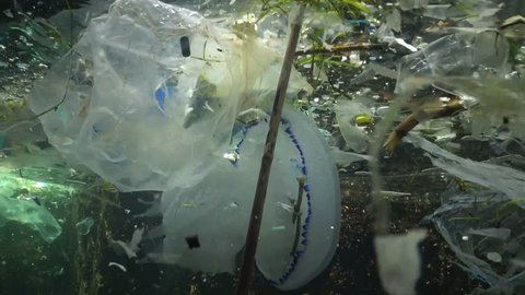 Plastic garbage and other debris floating underwater. Marine pollution. Plastic debris in the water, killing wildlife. Bulgaria, Black Sea, 2016.