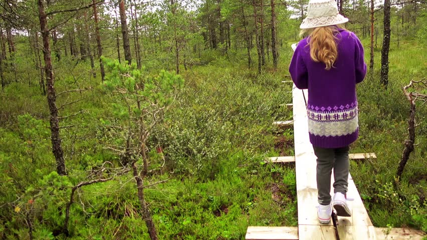 Little beautiful girl walks on Swamp Field In Viru Raba in Lahemaa, Estonia.