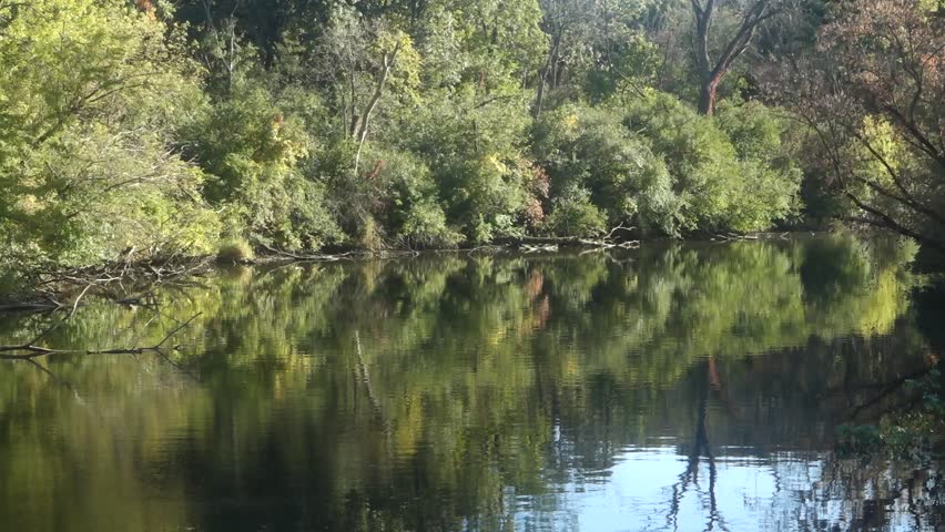 Deciduous woods in a light breeze reflected in slow stream on a sunny afternoon in autumn, northern Illinois, USA