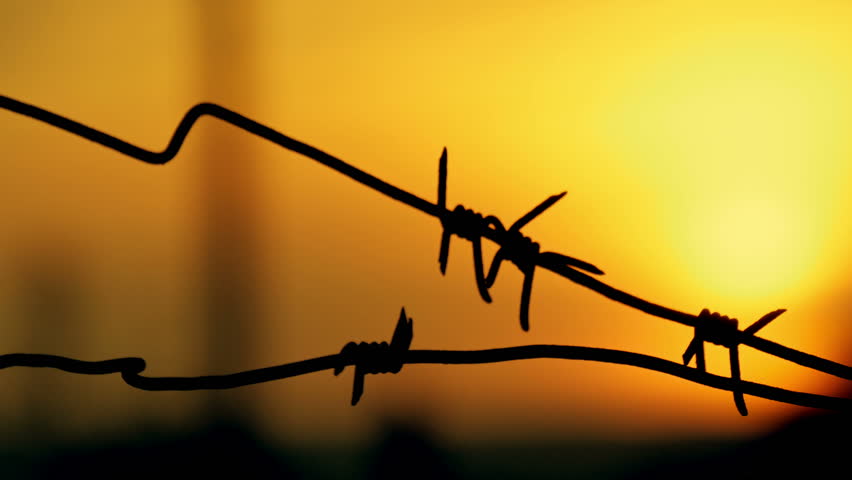 Barbed Wire Prison Sunset Orange Stock Footage Video (100% Royalty-free)  20431141 | Shutterstock
