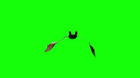 bat are flying on a green background of Halloween  render 3D