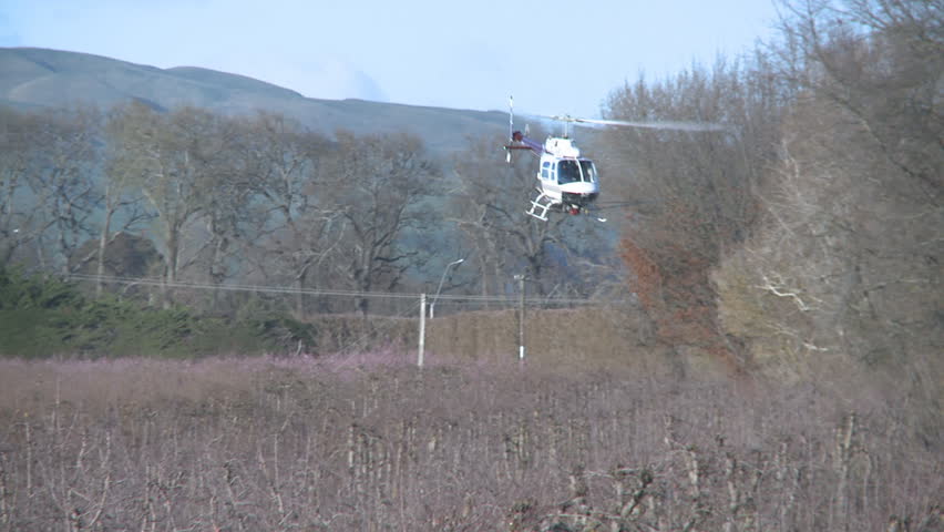 Helicopter spraying fungicides on an orchard
