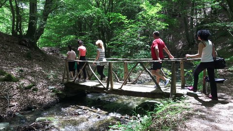 Group of friends hiking, walking in forest path together
