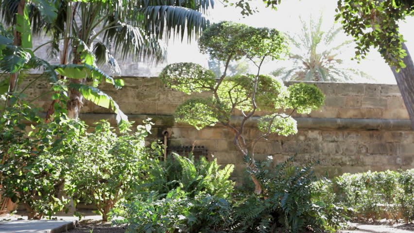 Woman walking in park.
