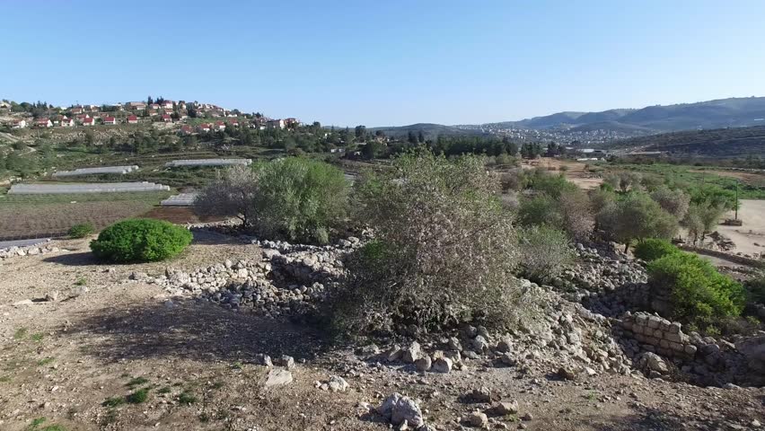 Almond trees at Tel Shiloh - Israel aerial footage
