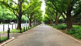 4K video of street in Tokyo Japan