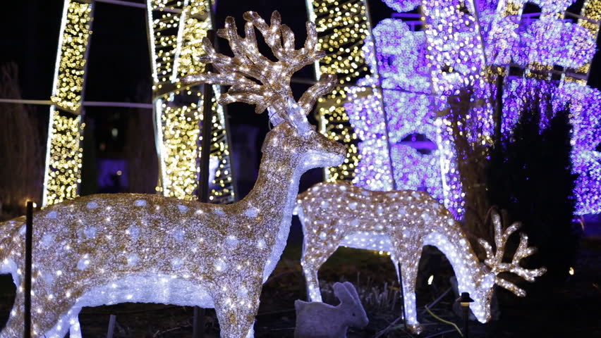 Christmas Deers new year night decor atmosphere Christmas trees in Canada