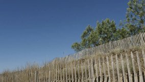 Sea natural  border made of planks leading to beach slow tilt 4K 3840X2160 UltraHD footage - Wooden fence and pines heading to Atlantic ocean 4K 2160p UHD tilting video