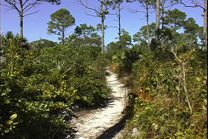 National Park Path