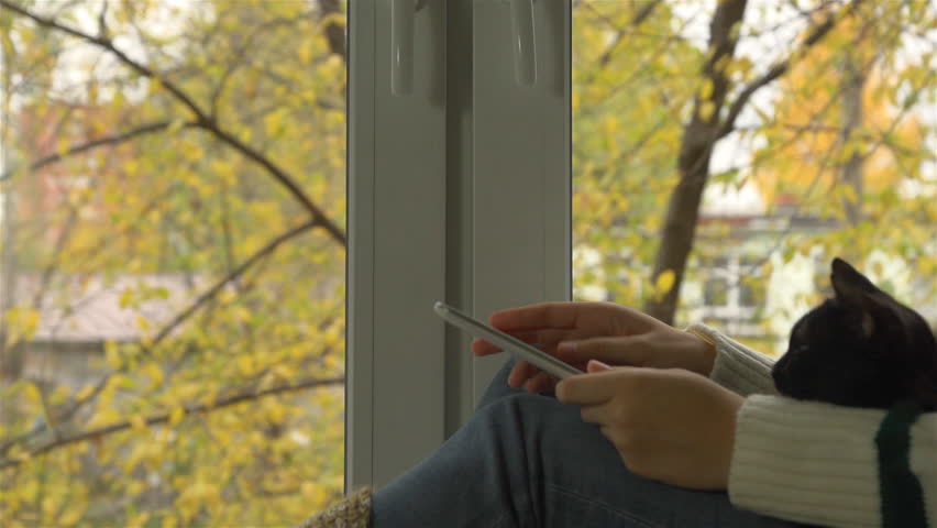 The girl in the striped sweater sitting on the window sill on the background of yellow leaves read and discuss news with friends online using  tablet. Cat sitting on lap.