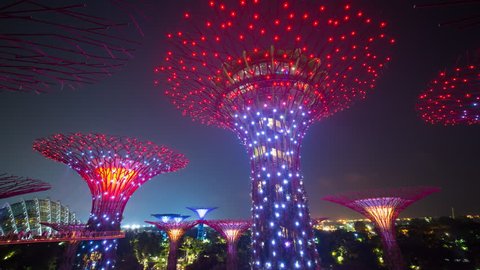 Supertrees at Gardens by the Bay, illuminated at night, Singapore, Southeast Asia (Jun 2016, Singapore)