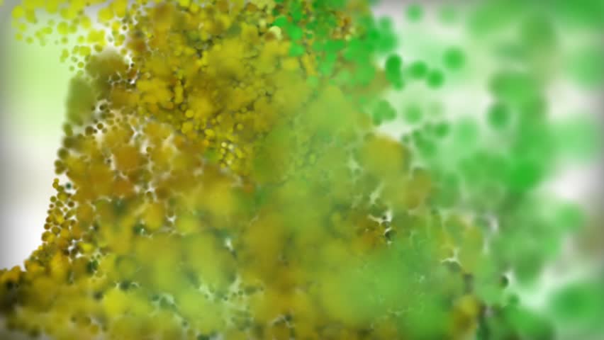 flower animation for you logo