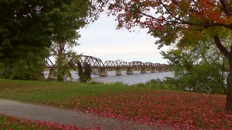 Zoom in bridge in autumn with maple trees and fallen leaves