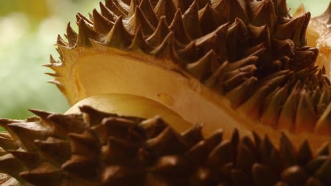 Durian, exotic fruit, a delicacy for gourmets, the smell Stock-video