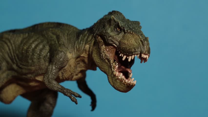 Tyrannosaurus Rex with Blue Background Stock Footage Video (100%