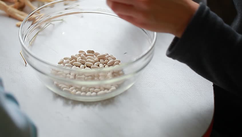 Woman cleans the house beans from the pods