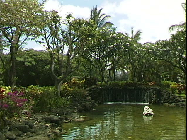 Resort Pond