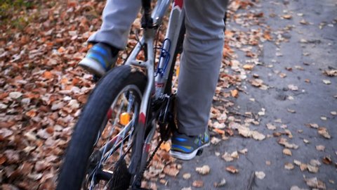 Man rides a bike in the autumn forest. Wheel close-up. Very fast footage.