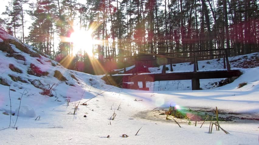 Winter Forest and the sun, timelapse