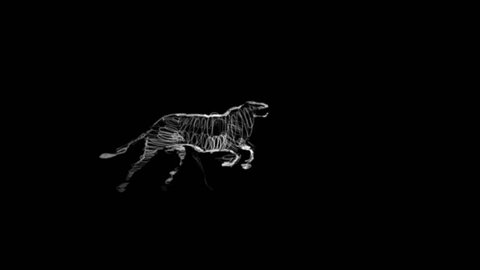Athlete becomes leopard - rotoscoping technique