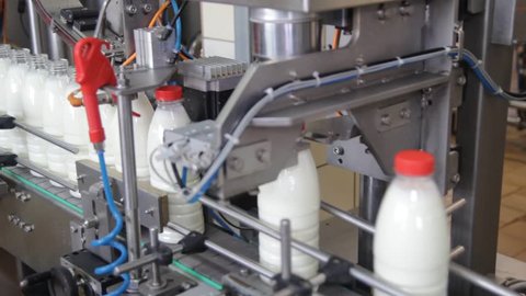 conveyor for bottling milk in plastic bottles