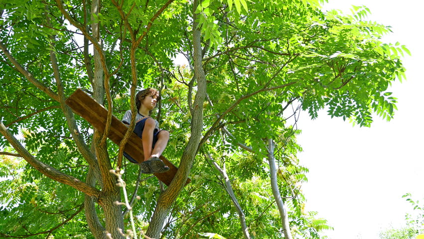 Boy spying with binoculars at the top of the tree