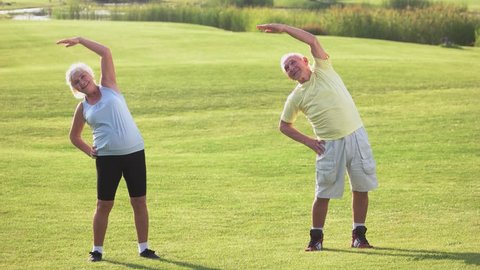 Senior couple does exercise. Woman and man on meadow. Gymnastics in the open air. Do fitness and improve health.
